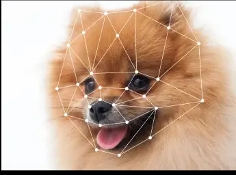 S3 to Delta Tables in Databricks