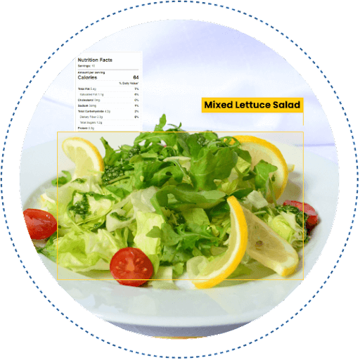 Opsis case study- calorie tracking solution